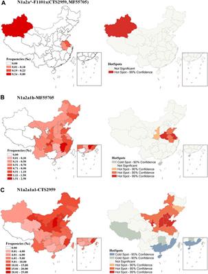 The impacts of bronze age in the gene pool of Chinese: Insights from phylogeographics of Y-chromosomal haplogroup N1a2a-F1101